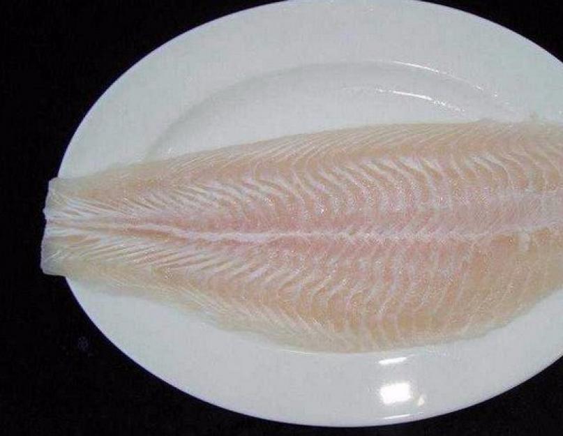 Пангасиус морская или речная рыба. Пангасиус: что за рыба, среда обитания, польза и вред