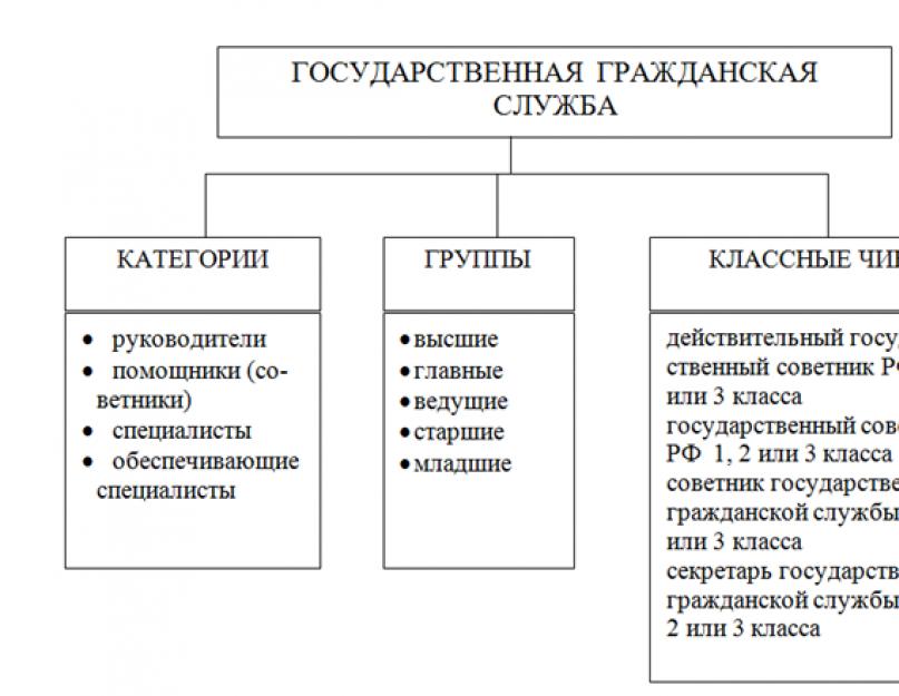 Организация государственной гражданской службы российской федерации. Государственная служба
