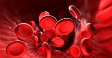 Железо в крови: норма, повышенный и пониженный уровень Функции железа в крови, за что оно отвечает