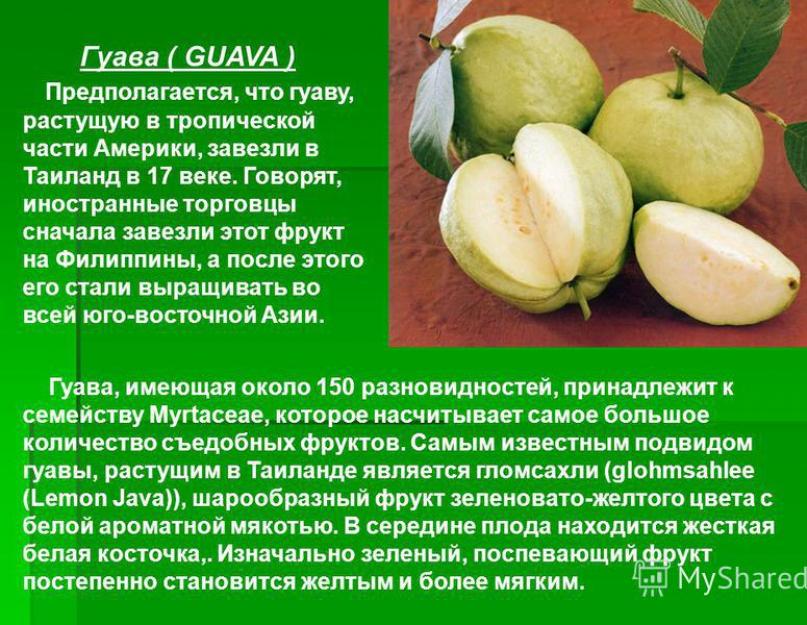 Гуава фрукты полезные